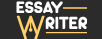 essay logo 234.png