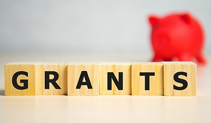 the word of GRANTS on building blocks concept