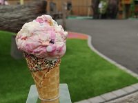 Cheshire Farm Ice Cream creates “rainbow” flavour for Nantwich Pride