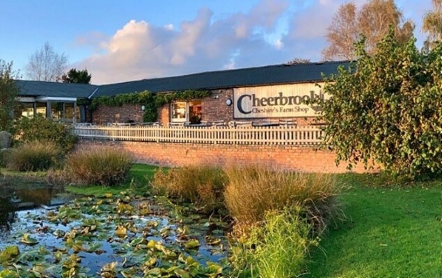 Shop Today - cheerbrook