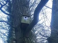 Nantwich housing scheme installs nesting boxes to enhance bird life