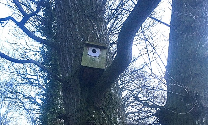 nesting bird box - tesni homes