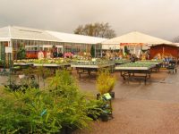 Wyevale sells Bridgemere Gardens to Blue Diamond