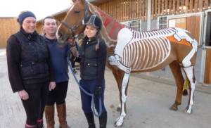 Reaseheath College horse students learn the bare bones!