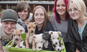 Puppies dumped in cemetery saved by Nantwich team