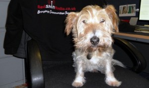Redshift Radio launches pet mascot competition