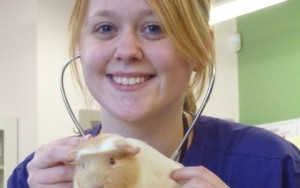 Guinea pig ‘Ice’ star of Reaseheath College’s new veterinary room