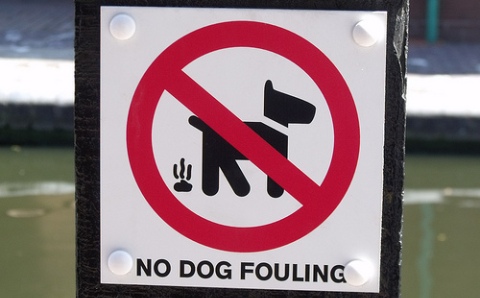 fines - dog fouling poster (pic by ell brown)