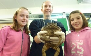 Reaseheath College joins Amphibian Ark to help endangered animals