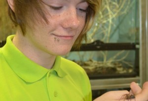 Nantwich’s Reaseheath College to stage National Insect Week events