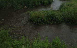 Wistaston Brook flooding