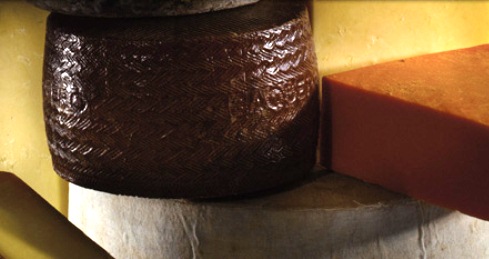 international cheese awards (pic courtesy of www.internationalcheeseawards.co.uk)
