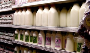 Nantwich dairy farmers join the growing milk price protest