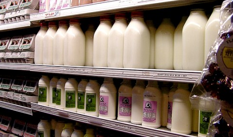 Protests over the price of milk (pic by Muffet)