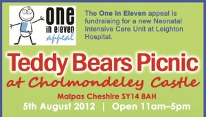 Teddy Bear’s Picnic at Cholmondeley for One in Eleven appeal