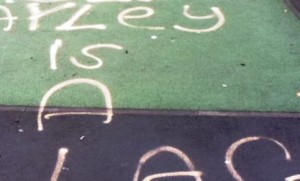 Police hunt yobs after Wistaston playground vandalised