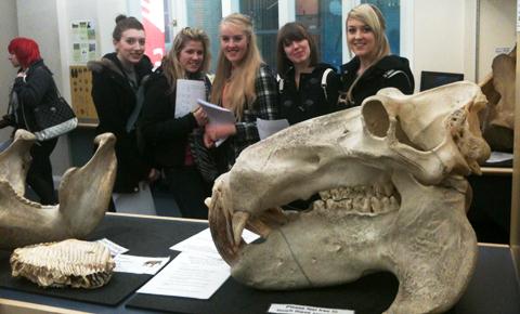 Liverpool Museum - Tiffany Walker, Becky Green, Alice See, Charise Erskine, Lucy Moses