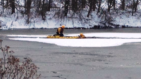 Nantwich Lake swan incident, Jan 18 2013