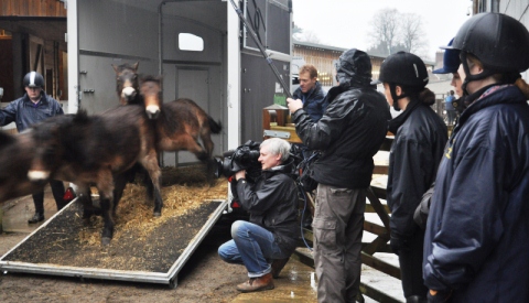 Foals arrive at Reaseheath College
