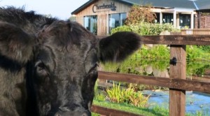 Horsemeat scandal drives shoppers to Nantwich Farm outlets