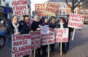 Hundreds gather in Nantwich to protest over Red Lion abattoir