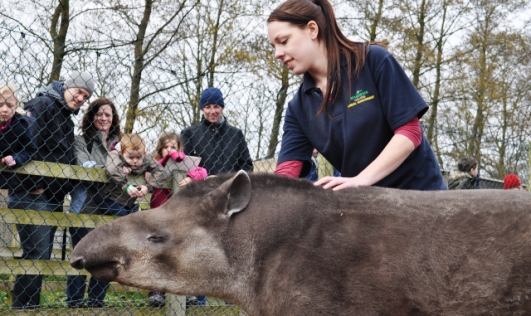 Ernie the Tapir and Reaseheath student Katie Almond meet visitors