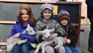 Families enjoy Reaseheath College lambing event in Nantwich