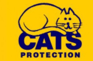 Cats Protection League to stage Wistaston memorial hall fundraiser