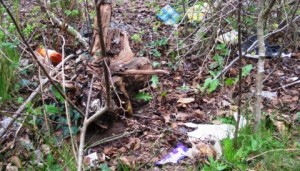 Nantwich Litter Group targets “grotspot” woodland sites