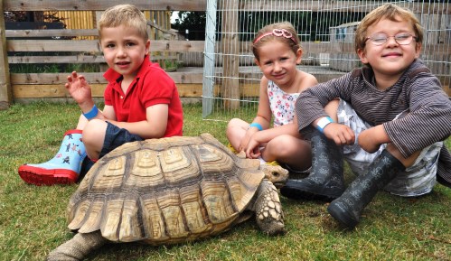 Annie-Lux Molden, Sammy Newall and Theo Smith, all 4, meet one of Reaseheath's tortoises