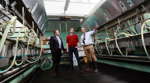 David Russell in milking parlour with Dave Kynaston and Martyn East