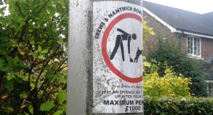Cheshire East Council chiefs seek stronger powers to tackle dog fouling