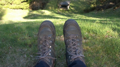 New Cheshire Walking group launches in Nantwich - Nantwich News