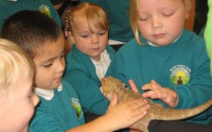 Nantwich youngsters enjoy Zoo2U visit to classroom
