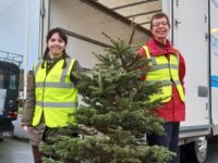 St Luke’s Hospice annual Christmas Tree collection returns