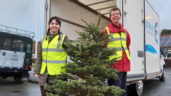 st lukes tree collection