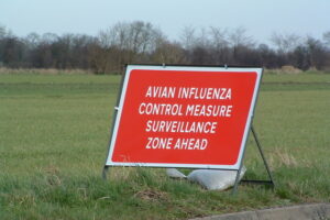Bird flu outbreak near Tarporley in Cheshire West