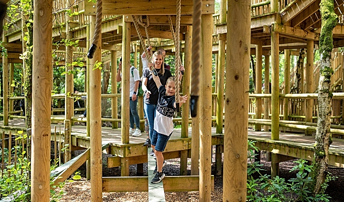 BeWILDerwood Cheshire - Sky Maze - Will Epps Photography