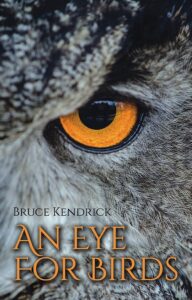 An Eye for Birds - cover