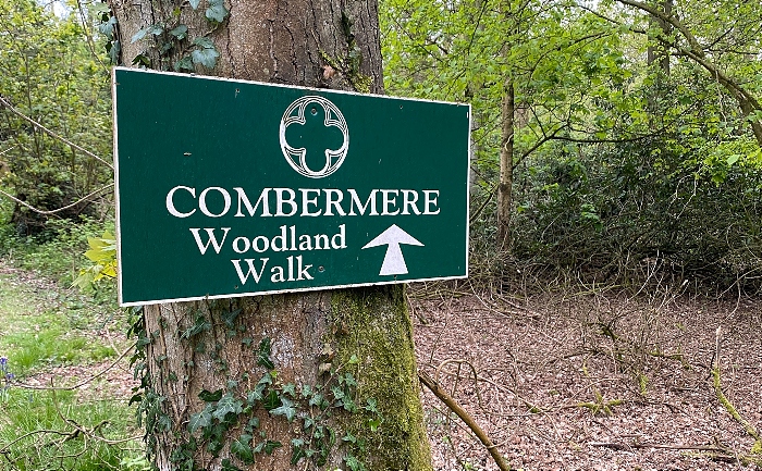 Combermere Abbey woodland walk
