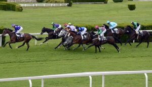 FEATURE: Best horse race meetings near Nantwich in 2022