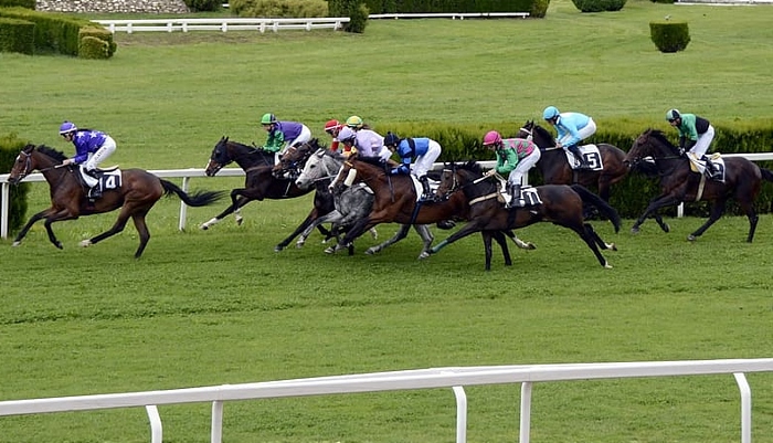horse racing free to use licence https://www.piqsels.com/en/public-domain-photo-sfgft