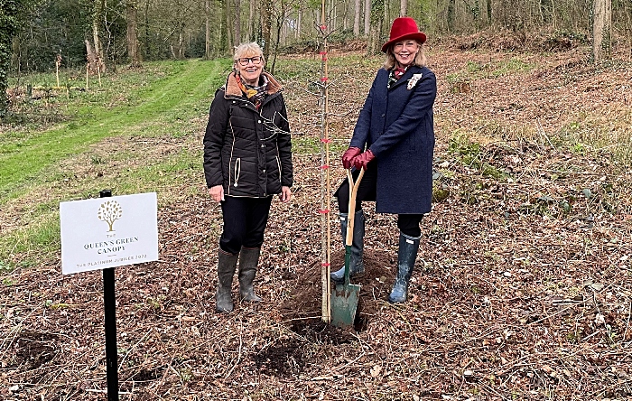 SCB Lady Alexis Redmond QGC - planting trees Combermere Abbey