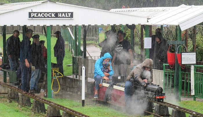 Miniature-gauge steam train leaves Peacock Halt (1)