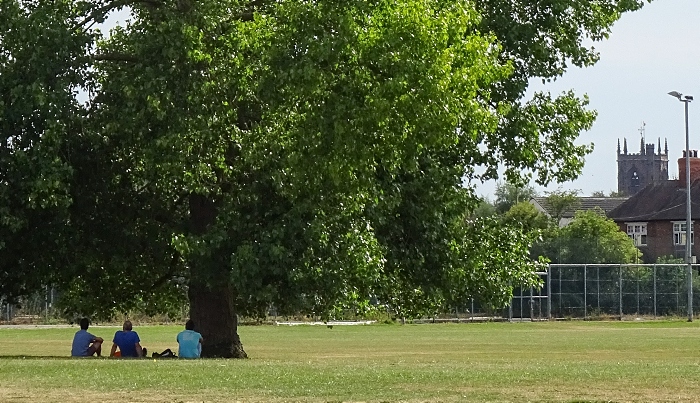 People take shade under a tree on Barony Park (1)