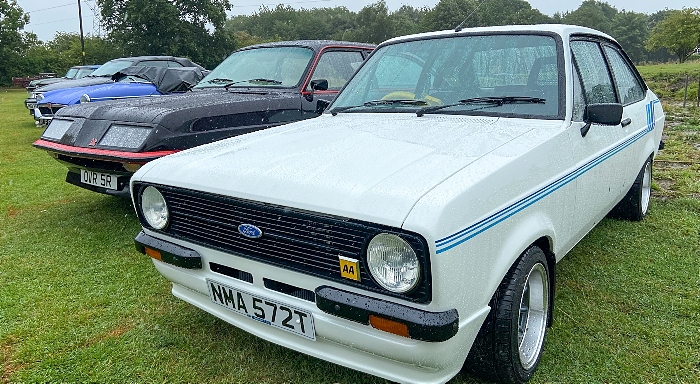 Some of the classic cars on display (2) (1)