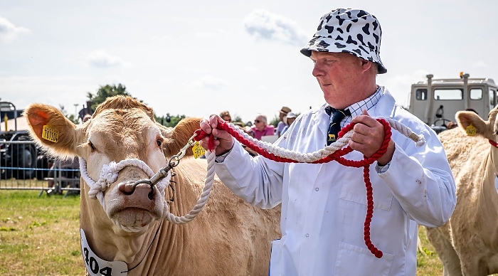 An entry displayed for judging in the Cattle section (1) (1)