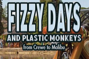 Fizzy Days - book