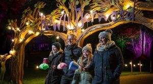 BeWILDerwood’s “Glowing Lantern Parade” returns to Cheshire