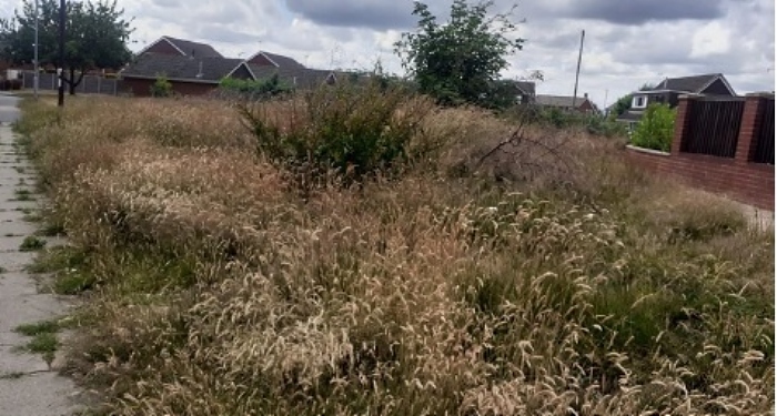 Land on the Sandbach estate no longer maintained by Ansa (Cheshire East Council) (1)